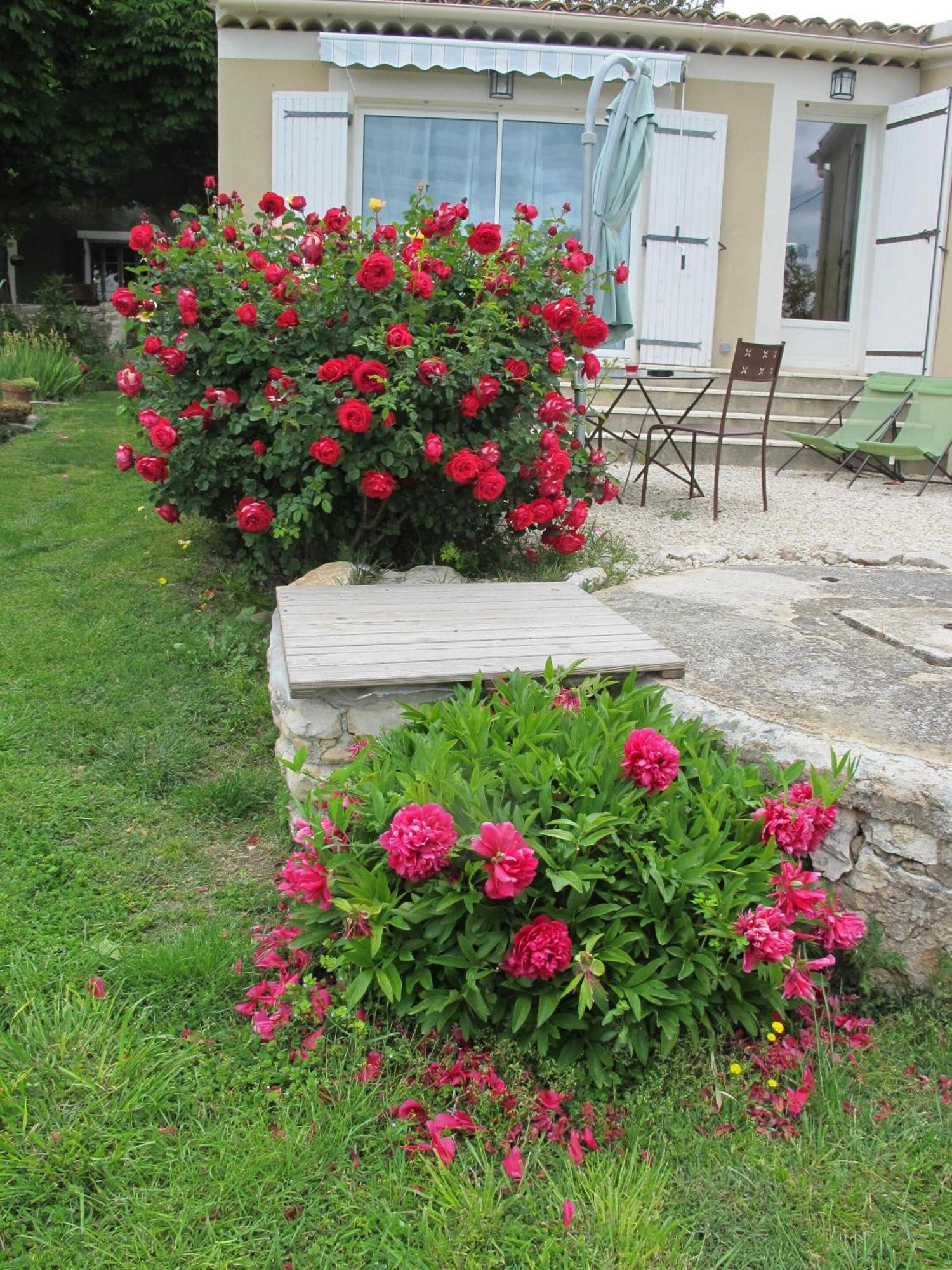 Bed and Breakfast Lou Cardalines Bédoin Zewnętrze zdjęcie